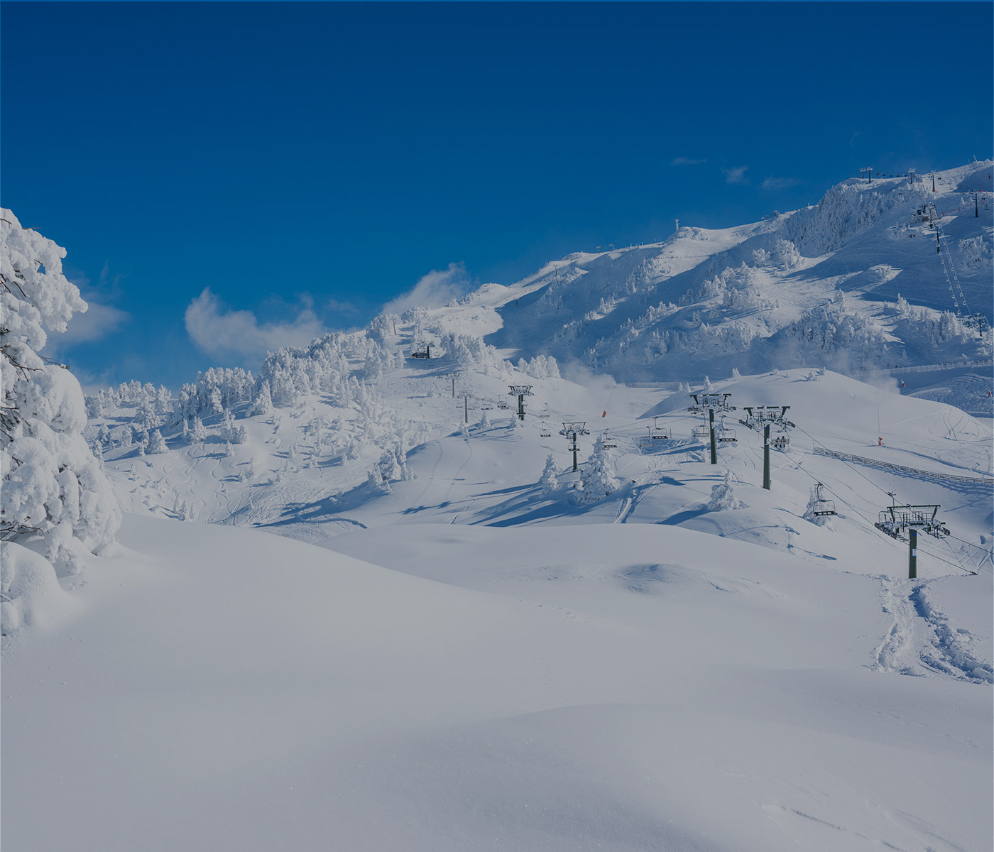 FeelFree Rentals. Baqueira Beret nevado.